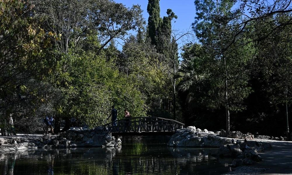 Ζάππειο: Έκλεισε ο Εθνικός Κήπος λόγω των ισχυρών ανέμων